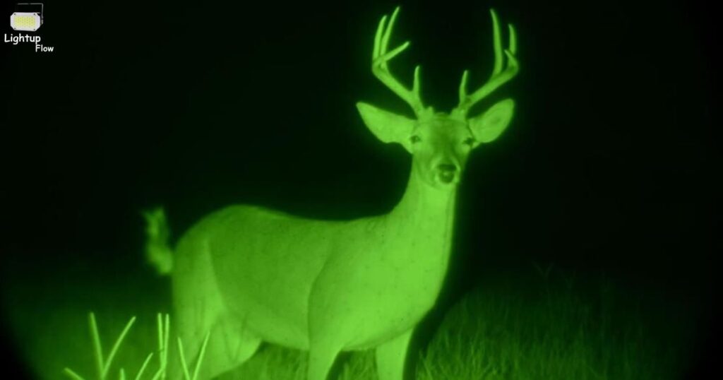 Can Deer See Green Light At Night