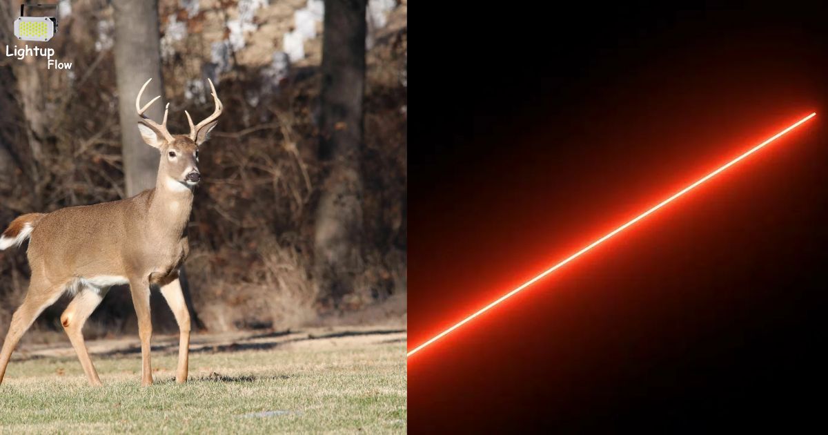 Can Deer See Red Led Lights